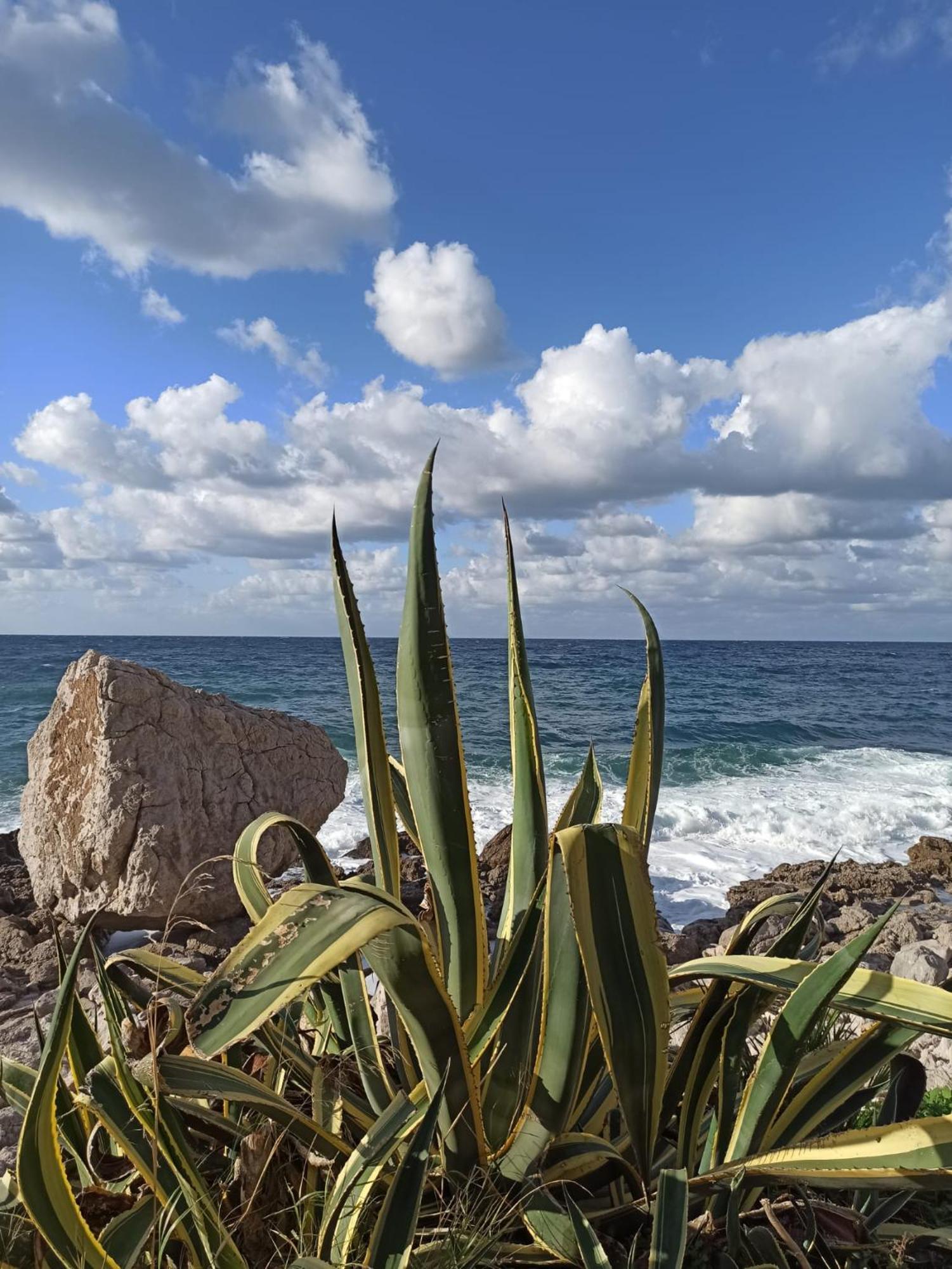 La Sirenetta Apartment Palermo Kültér fotó
